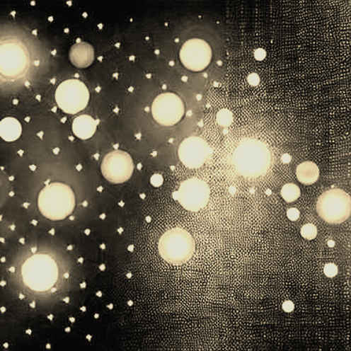 The Silence of the Bull: When Information Abundance Masks Structural Decay