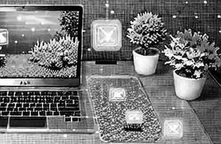 The Empty Data Signal: When a Project’s Silence Tells You More Than Its Whitepaper The Empty Data Signal: When a Project’s Silence Tells You More Than Its Whitepaper