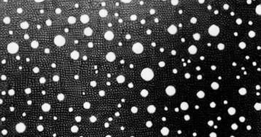 Capital Rotation or Noise? The On-Chain Evidence Behind the AI-to-Crypto Shift