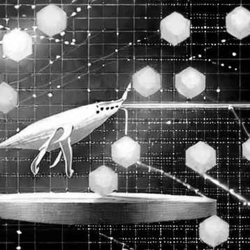 The Price Discovery Handover: Why Crypto Markets Now Trade on Derivatives, Not Spot