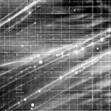 The Signal in the Silence: When On-Chain Analysis Returns Zero