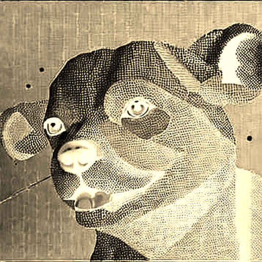 Pershing Square's AI Bet: Why Amazon Over Alphabet Reveals the Institutional Playbook for Protocol Thinking Pershing Square's AI Bet: Why Amazon Over Alphabet Reveals the Institutional Playbook for Protocol Thinking